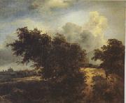 The Bush (mk05) Jacob van Ruisdael